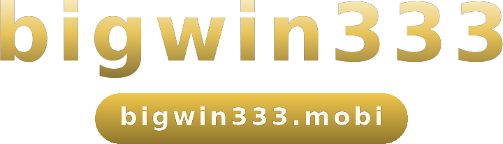 bigwin333 logo